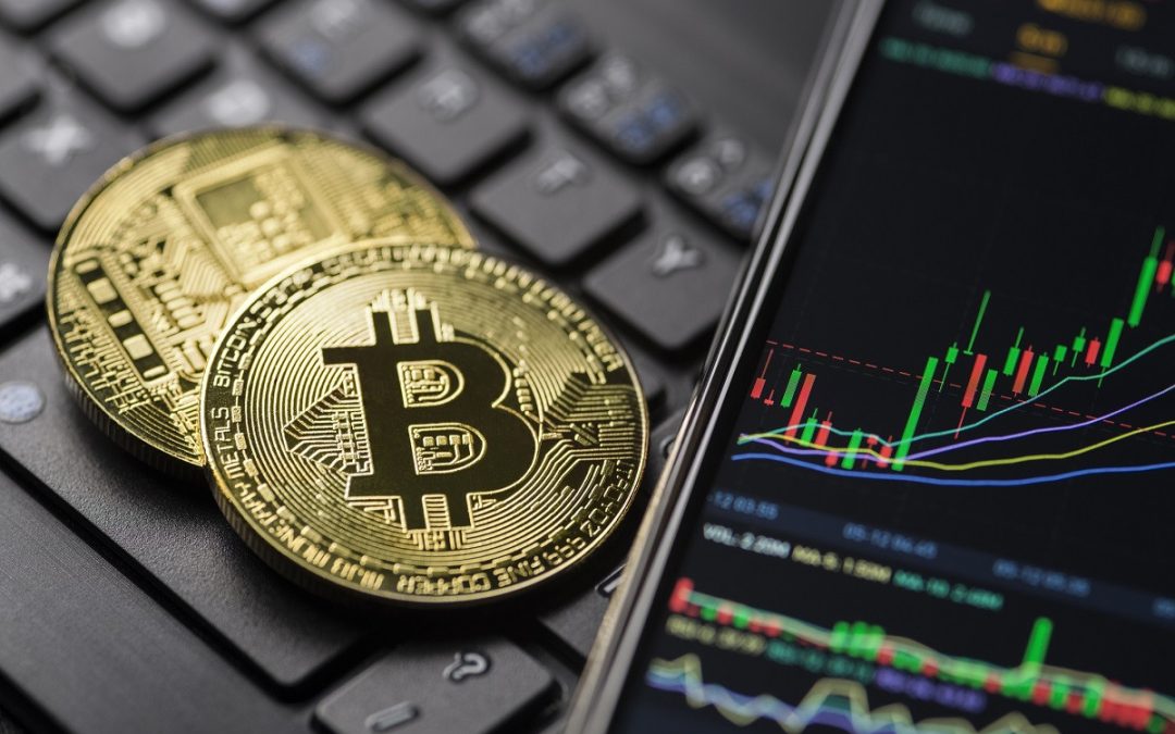 Ontwikkelaar trading bot ondernemer of hobbyist?